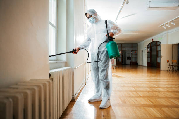 Flea Control Services in Warren, IL